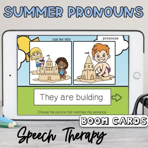 Boom Cards Summer Pronouns